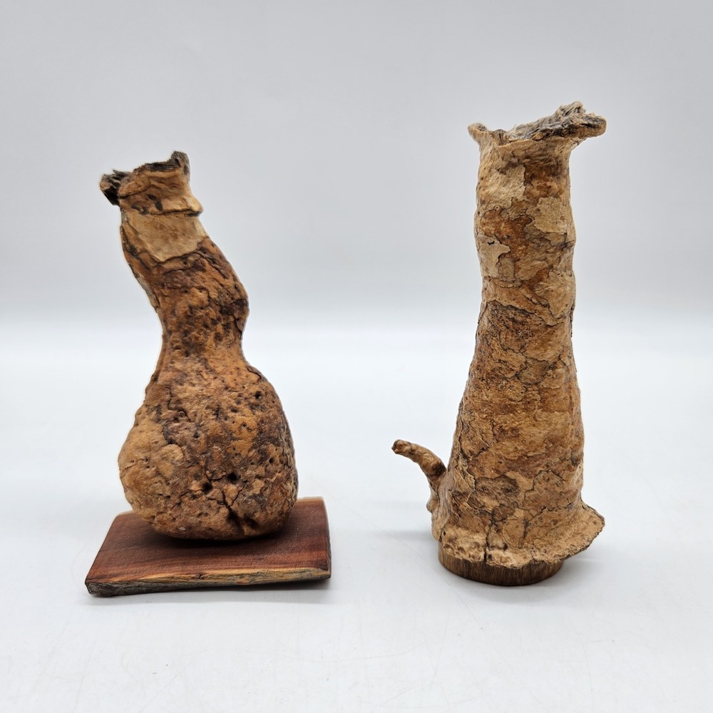 Southwestern Natural Arizona Saguaro Cactus Skeleton Bud Vases Lot of 2